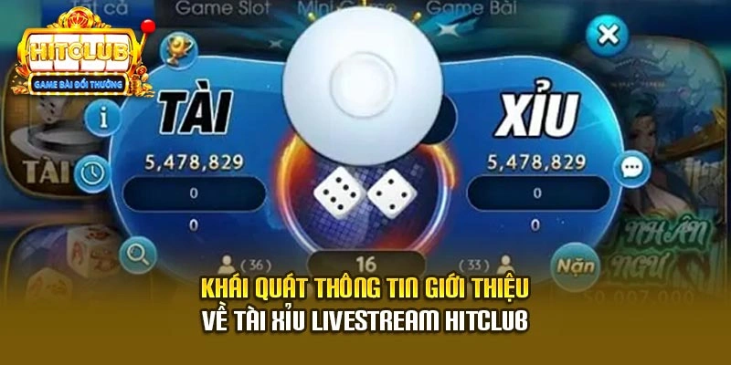 Khái quát thông tin giới thiệu về tài xỉu livestream Hitclub