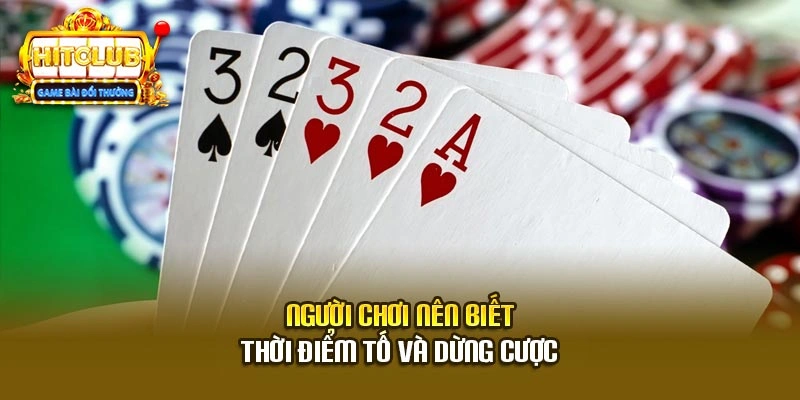 Người chơi nên biết thời điểm tố và dừng cược